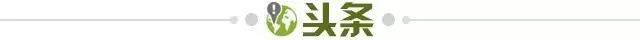 1703028428246067819.jpg 头条.jpg